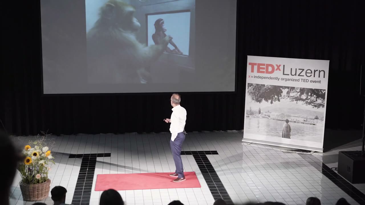 Vorschaubild TEDxLuzern 2020: Dr. Solaiman Shokur